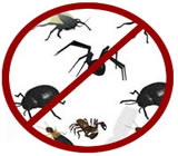 Dedetizadoras em Valparaíso de Goiás